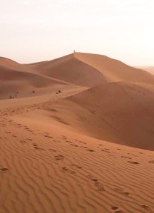 WhatsApp Image 2020-07-20 at 08.26.30 (3)